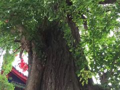 -金堂县云顶石城风景区