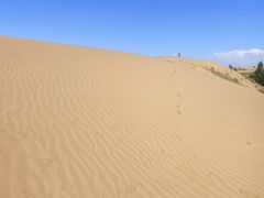 -恩格贝生态旅游区
