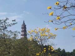 -顺峰山公园