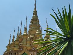 -西双版纳勐泐文化旅游区