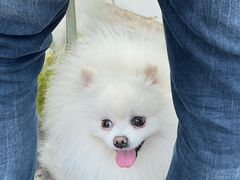 -桤木河湿地公园