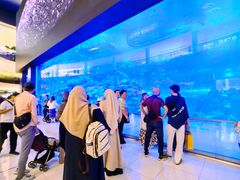 -迪拜水族馆及水下动物园