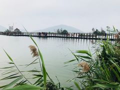 -芒洲湿地公园