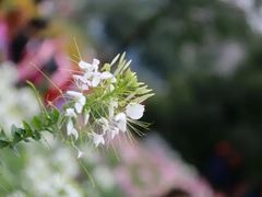 -白沙门生态公园