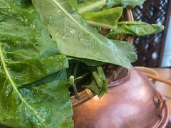 -攀枝花野菜铜火锅(万科凯德店)