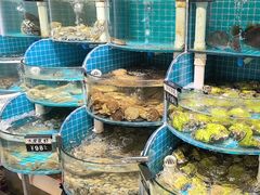 -正亮农家院·海鲜本地菜