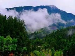 -屈原故里文化旅游区