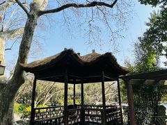 -上海醉白池公园