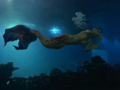-海棠湾洲际-涛·海底餐厅·美人鱼·自助餐·海底隧道