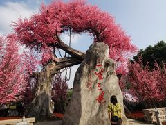 -昌州古城