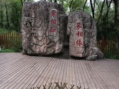 -黑龙江省森林植物园