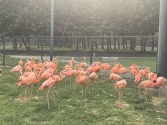 -秦皇岛野生动物园