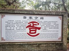 -北海金海湾红树林生态旅游区