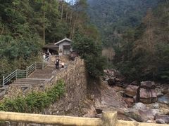 -花岩国家森林公园