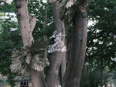 -怪咖·joker陈楠