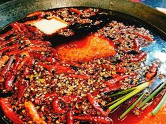 -肥龙火锅(南坪店)