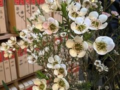 -普洱茶府(博乐广场店)