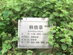 -广州神农草堂中医药博物馆
