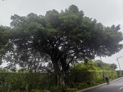 -厦门园林博览苑