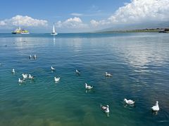 -青海湖国家重点风景名胜区