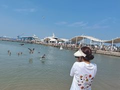 -海驴岛(荣成市)
