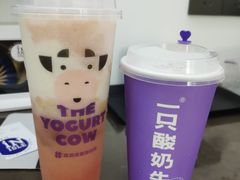 -一只酸奶牛(八一路店)
