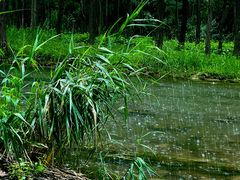 -百里山水画廊