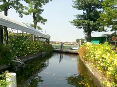 -新地休闲农场