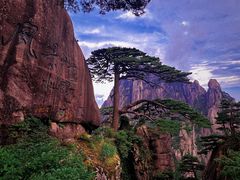 -黄山风景区