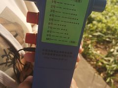 -广州雕塑公园