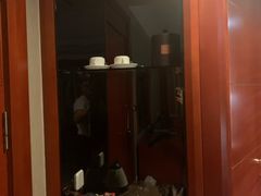 -圣爵菲斯大酒店(长沙世界之窗店)