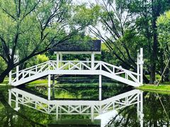 -上海共青森林公园