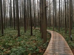 -上海怡沁园度假酒店