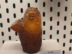 -青藏高原自然博物馆