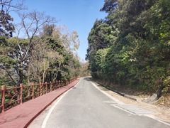 -广州市石门国家森林公园