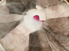 -舒家大院重庆老火锅(纪念塔店)