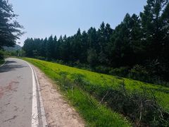 -帽儿山国家森林公园