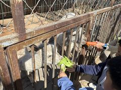 -河北村民俗体验园