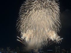 -台场海滨公园船码头