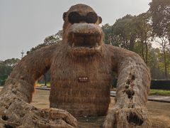 -嘉北郊野公园