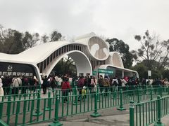 景点-成都大熊猫繁育研究基地