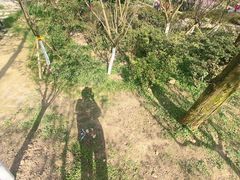 -南山植物园