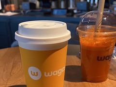 -Wagas沃歌斯(虹桥机场T1店)