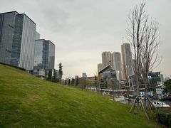 -重庆市江北嘴中央商务区中央公园