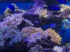 -上海海昌海洋公园