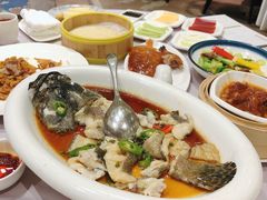 小龙胆鱼-丰鲤楼•闽南茶楼(仟禧汇店)