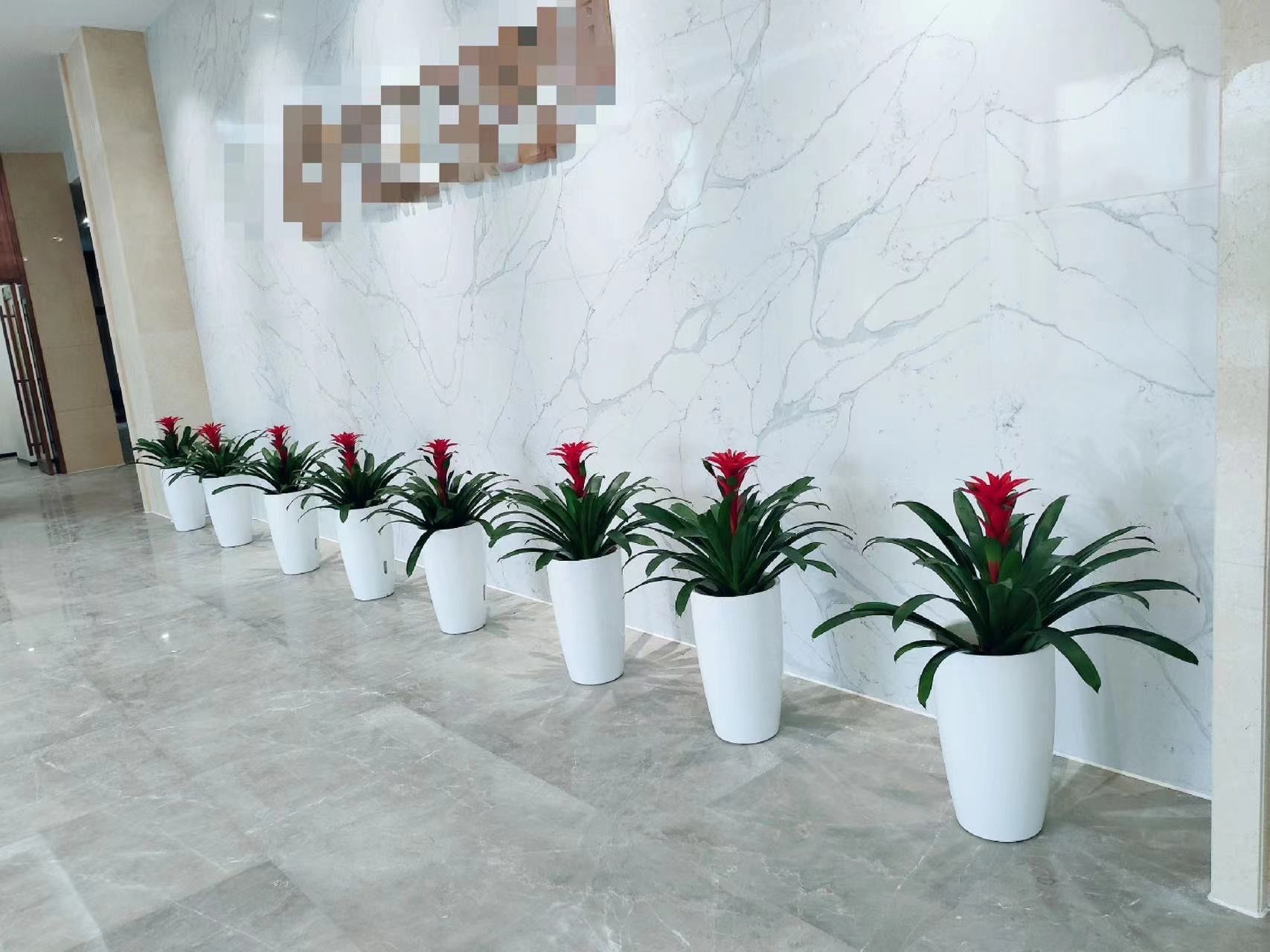 办公室绿植租摆