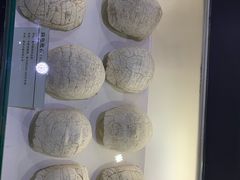-中国第四纪冰川遗迹陈列馆