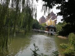 -华西村