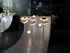 -日本科学未来馆